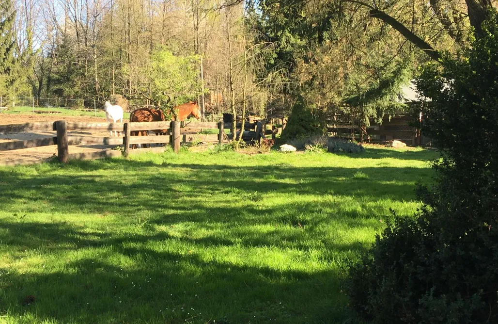 Agroturystyka Dolnośląskie ze zwierzętami Ekoturystyka Nowina 1