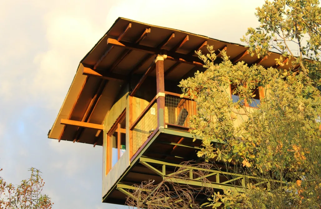 alojamientos AlohaCamp Cabaña en los bosques de Extremadura 2