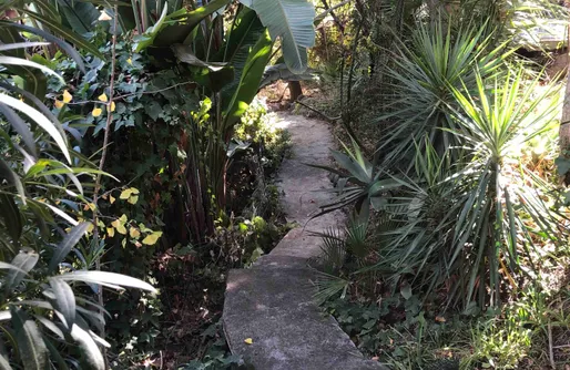 Imagen de Casa Simba Nature Room - Green Room