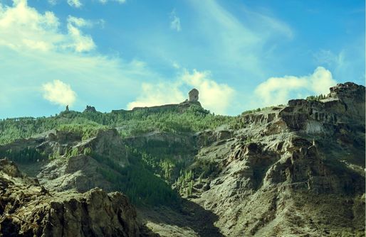 Imagen de Casa Rural Pepita la de las flores, en el corazón de Gran Canaria