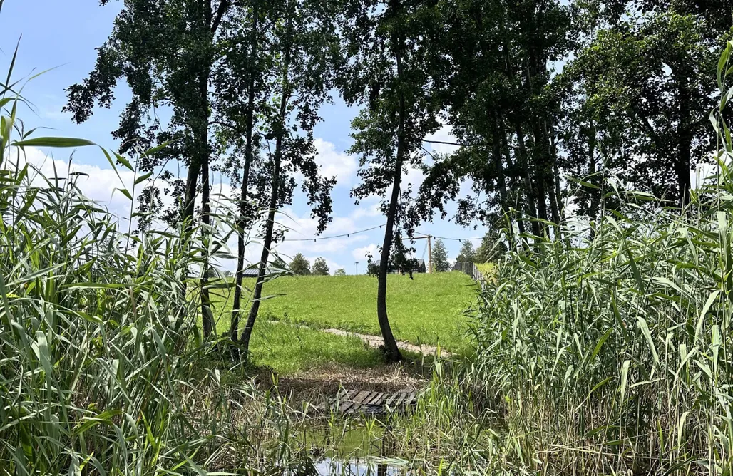 noclegi AlohaCamp Oaza Żuraw 5