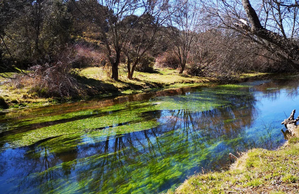 Unterkunft AlohaCamp Casa rural La Cantina 4