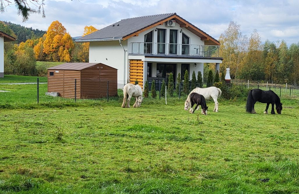 noclegi AlohaCamp Domki z jacuzzi i sauną Zacisze w Górach 2
