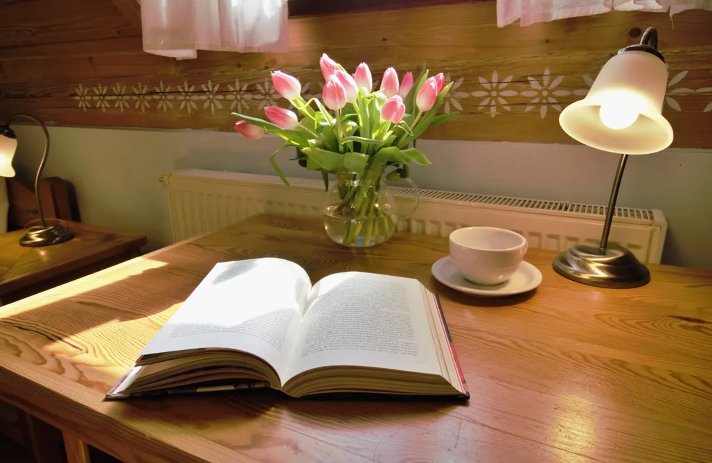 AlohaCamp Pokój rodzinny dla 4 osób 3