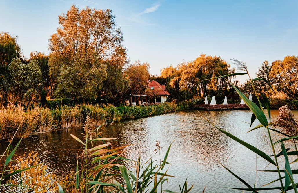 AlohaCamp Miejsce dla kamperów lub przyczep  1