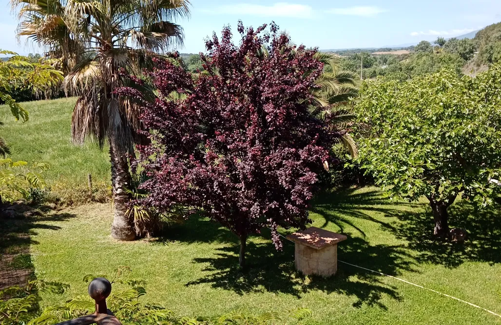 AlohaCamp accommodation Casa Rural Higueras y Olivos 1