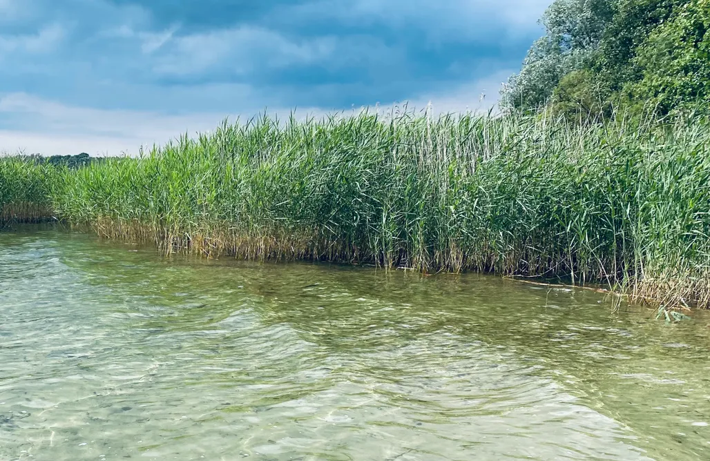 noclegi AlohaCamp dALL 1