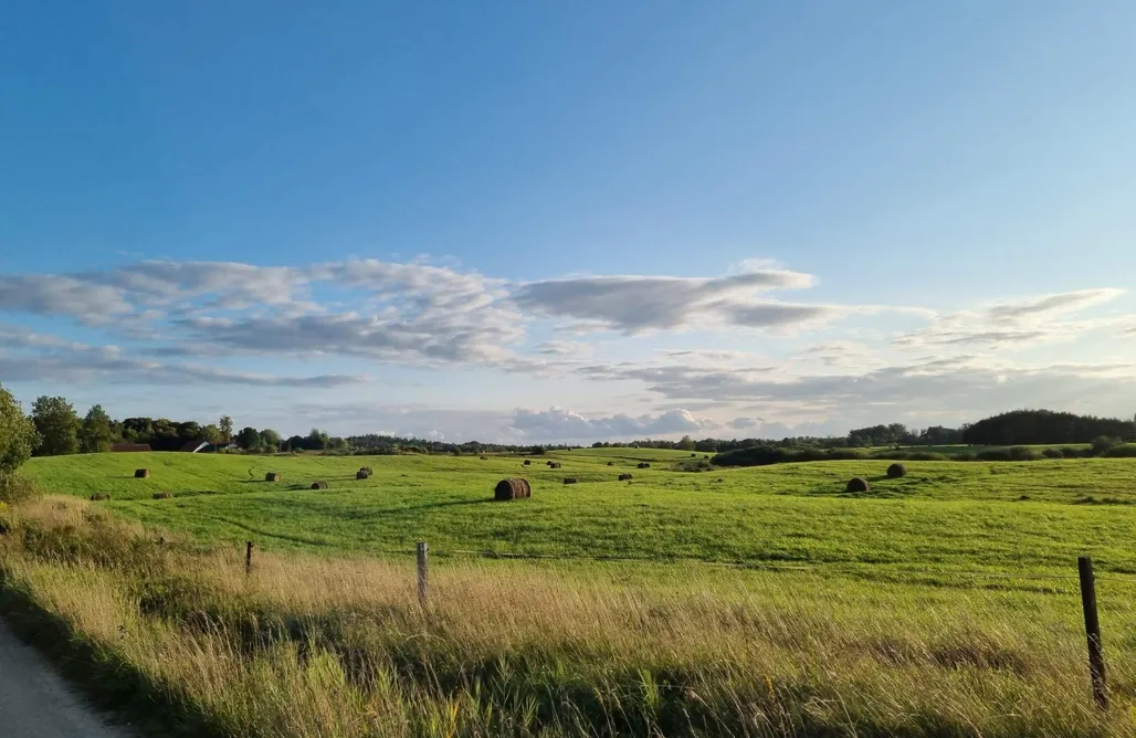 Unterkunft AlohaCamp Siedlisko Mazury 1