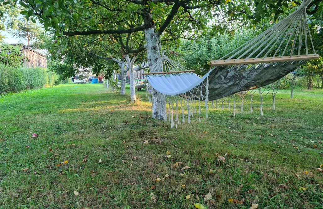 noclegi AlohaCamp Studio Brzózka

 5