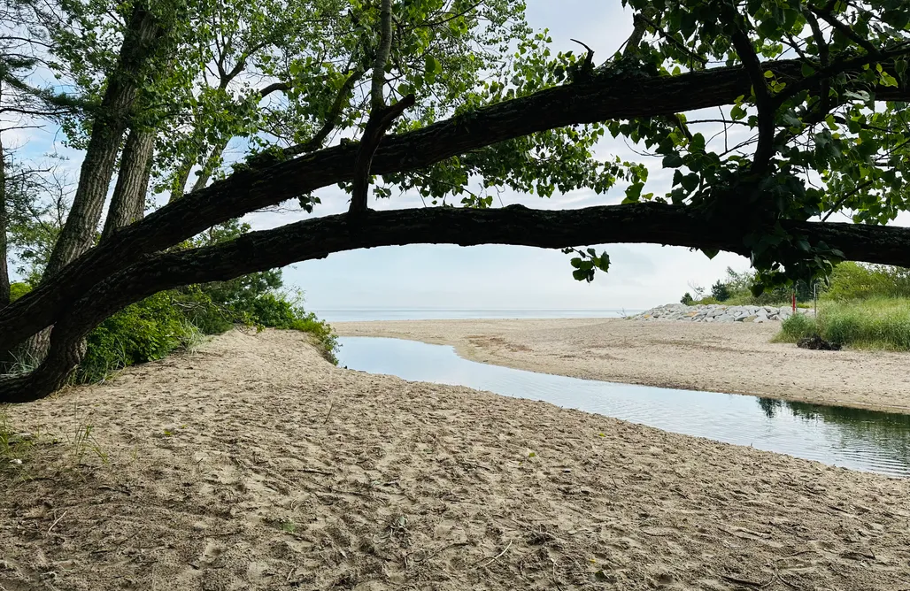 AlohaCamp Morski Las  1