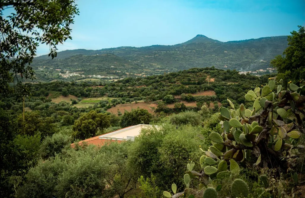 Villa S'Olioni AlohaCamp