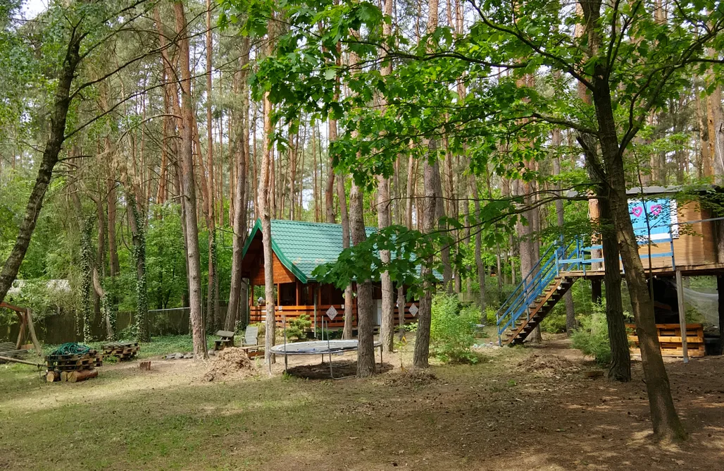 Romantyczny Weekend dla Dwojga Szumi... Szumi Las – prywatny dom w lesie z domkiem na drzewie 2