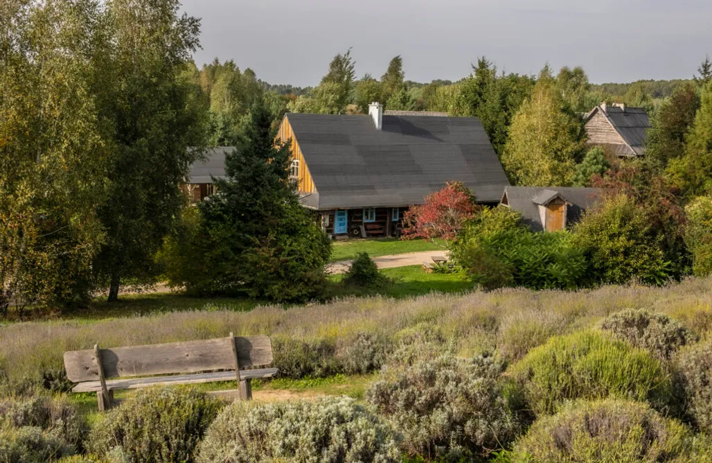 noclegi AlohaCamp Lawendowe Pole 2