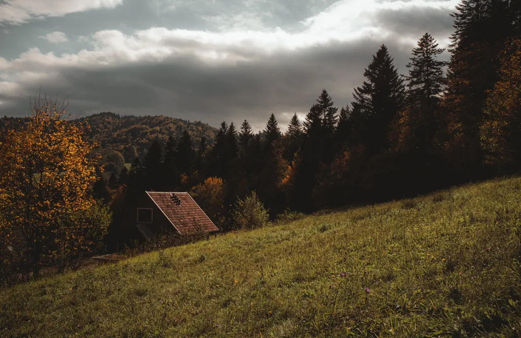 Kalnica Domki Mech i brzoza 2