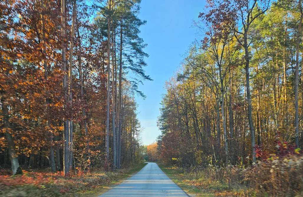 Hébergement AlohaCamp Leśne Zacisze 1 | Domek z sauną i balią w cenie  1