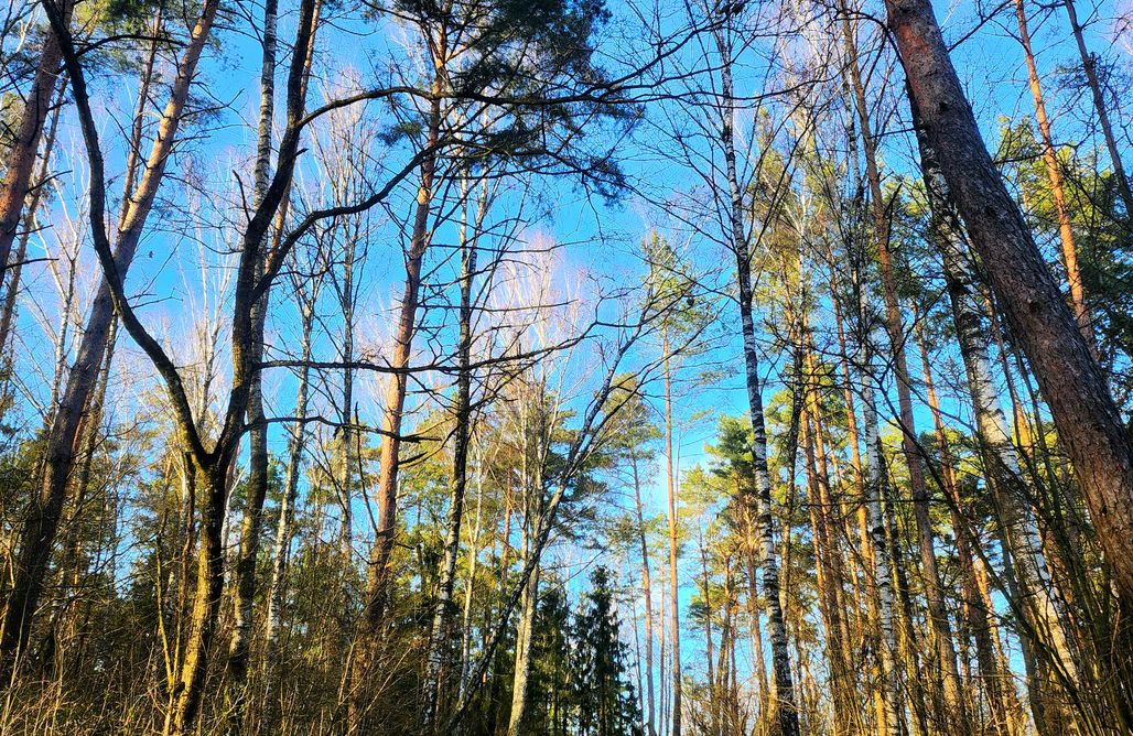 noclegi AlohaCamp Domki Mazury 1