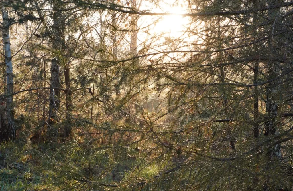 AlohaCamp accommodation Agroturystyka na Kaszubach Poczuj (S)pokój 1