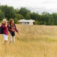 Grażyna, Katarzyna, Joanna i Zbyszek host Bush Camp