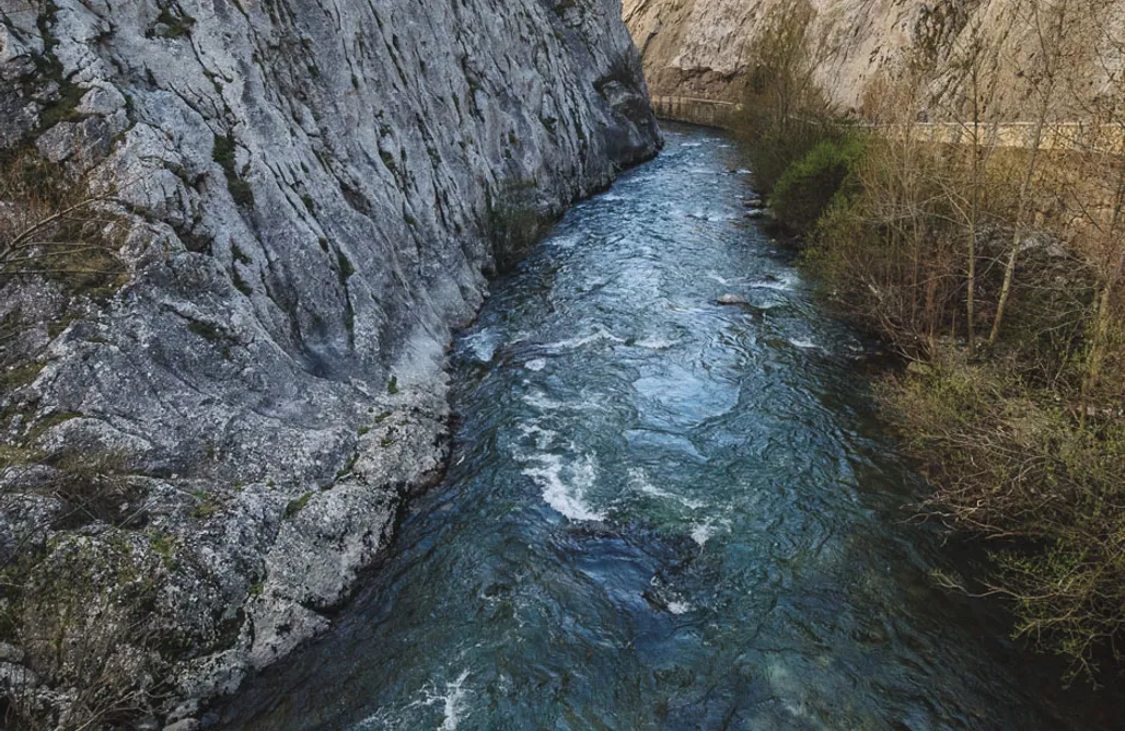 Aguas Frías II AlohaCamp