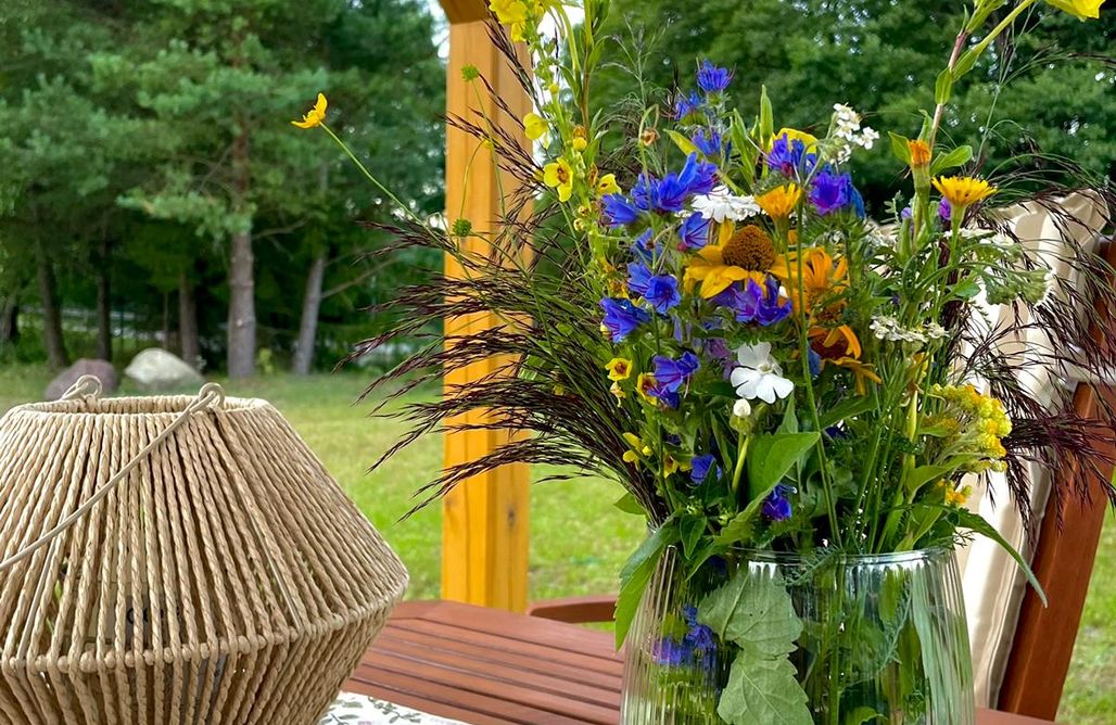 AlohaCamp Stara Rzeka 2.0 1