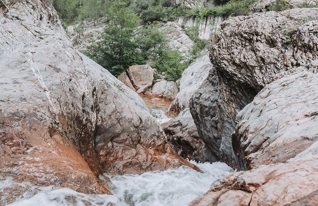 alojamientos AlohaCamp River Home 1