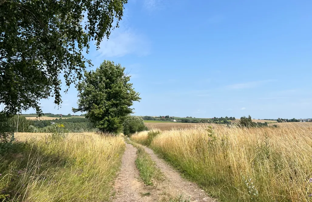 noclegi AlohaCamp W Kręgu Natury 1