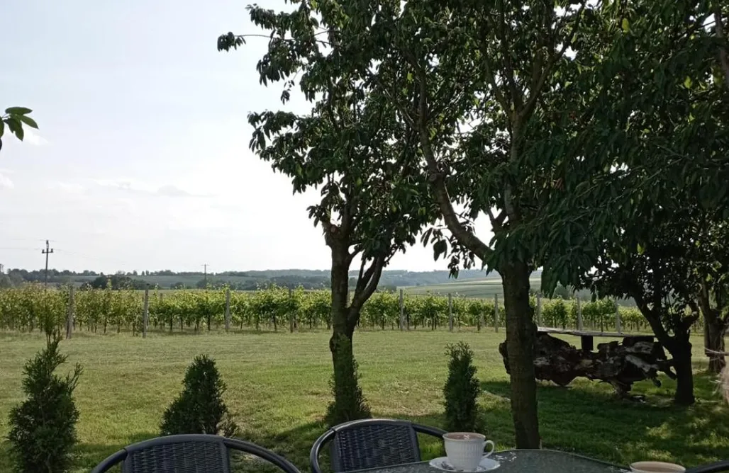 AlohaCamp Domek dwupokojowy 1