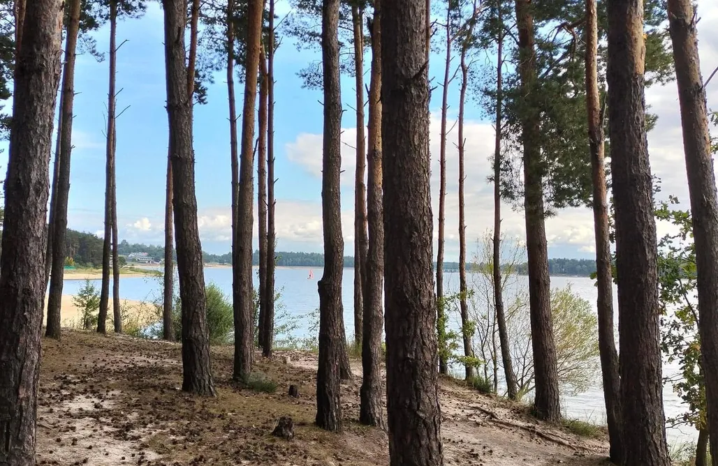 Domki Z Balią Domek Chańcza  1