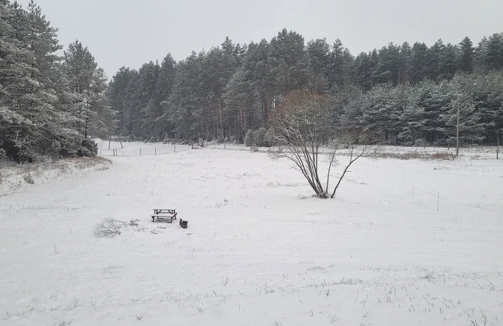 Barczewo Domki Willa Leśne Zacisze  1