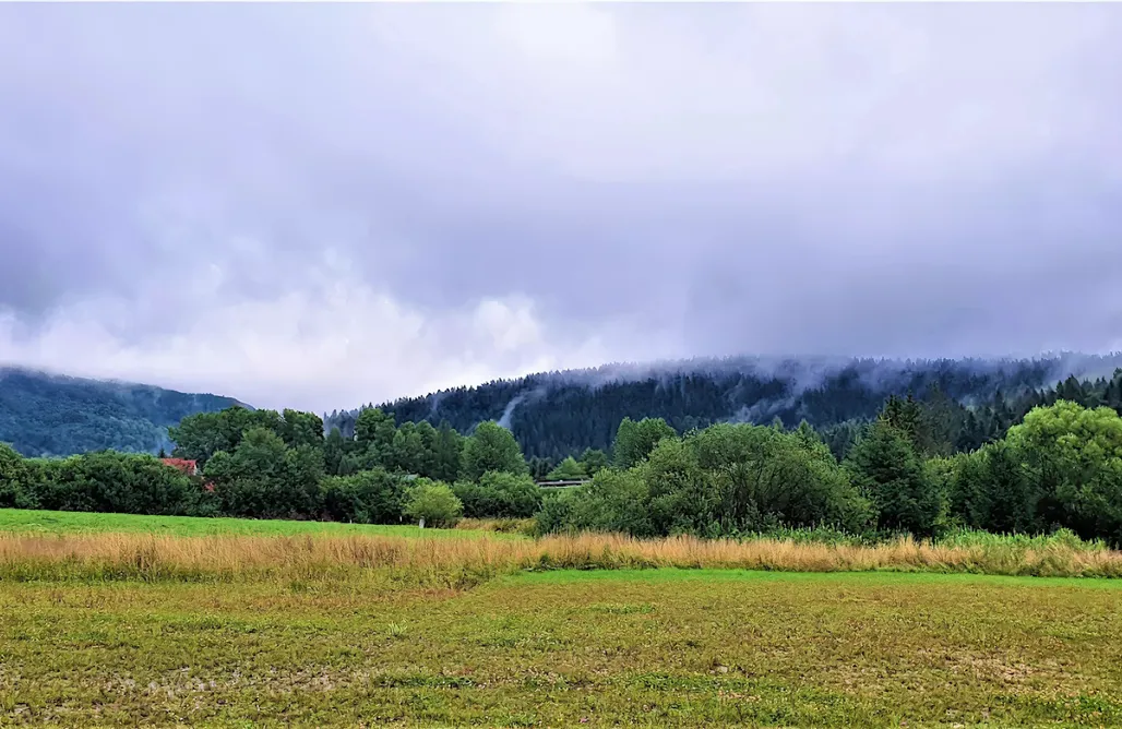 AlohaCamp accommodation Miejsce kamperowo-namiotowe Perełka Bieszczady 2