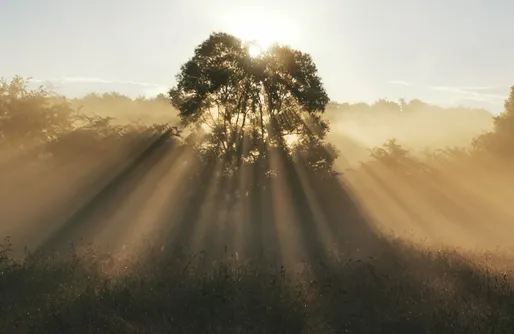 Zdjęcie obiektu Dziadkowe Poletko