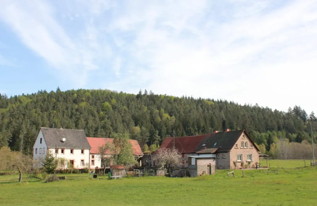 Location Vacances Strasbourg Lauberhof - Maison de vacances Pfalz 3