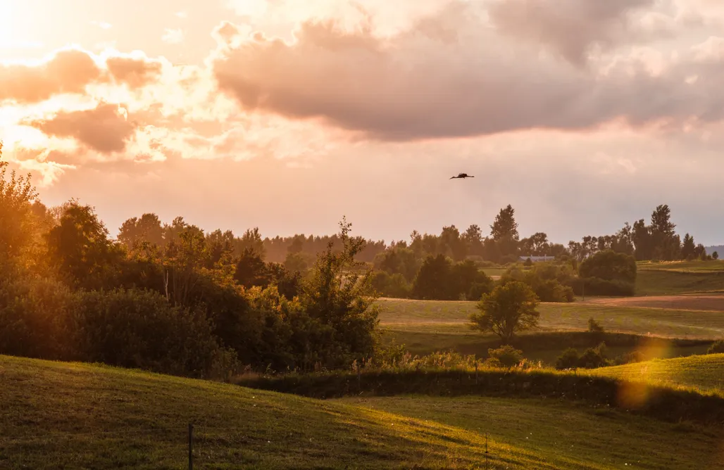 AlohaCamp Pobądź z nami 1