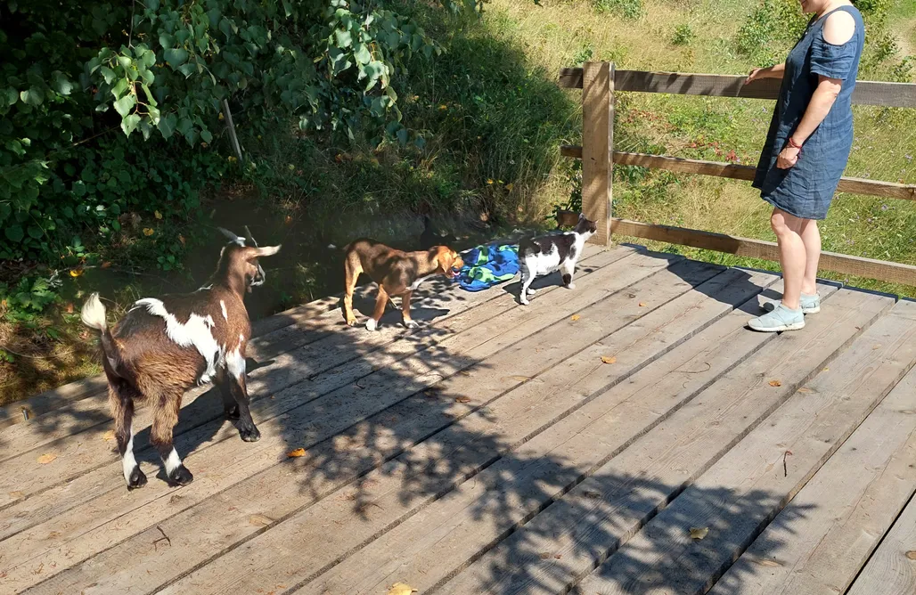 Pole Namiotowe z atrakcjami dla dzieci Jaśkulówka pod Wyską 1