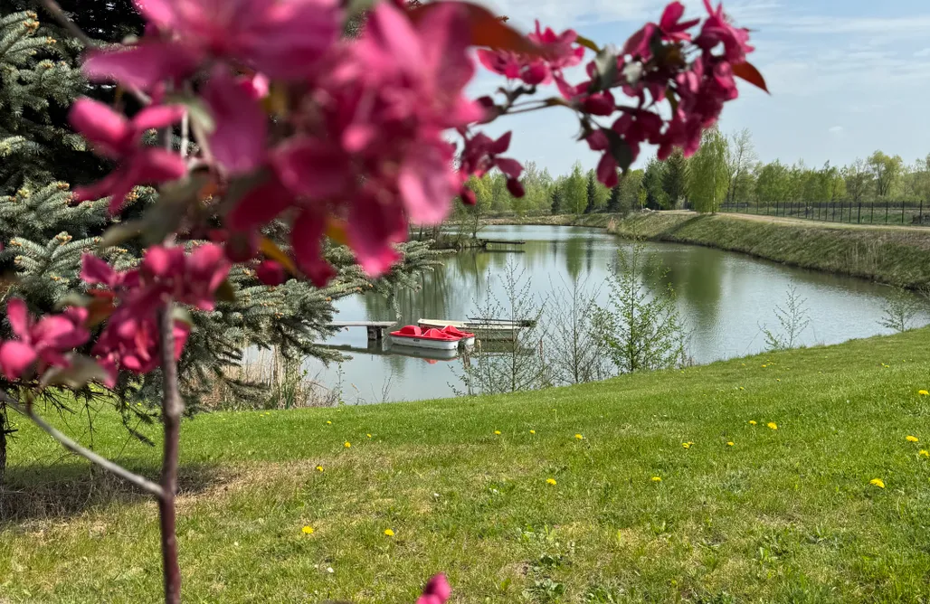 AlohaCamp accommodation Wy_spa_Podolany 1