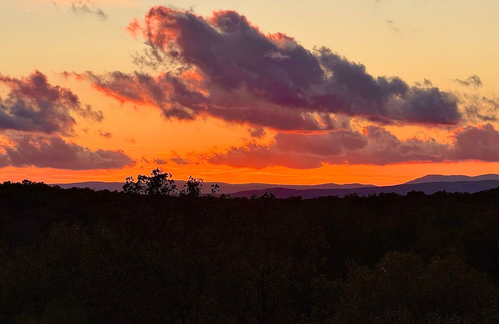 AlohaCamp Donji Zagon 1