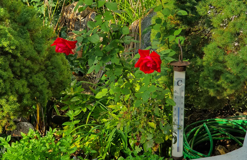 In The Mountains Roomantic Appartments 1