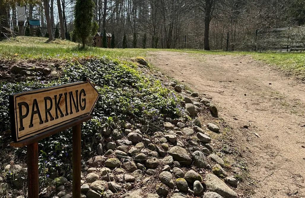 AlohaCamp W harmonii lasu - na wyłączność 1