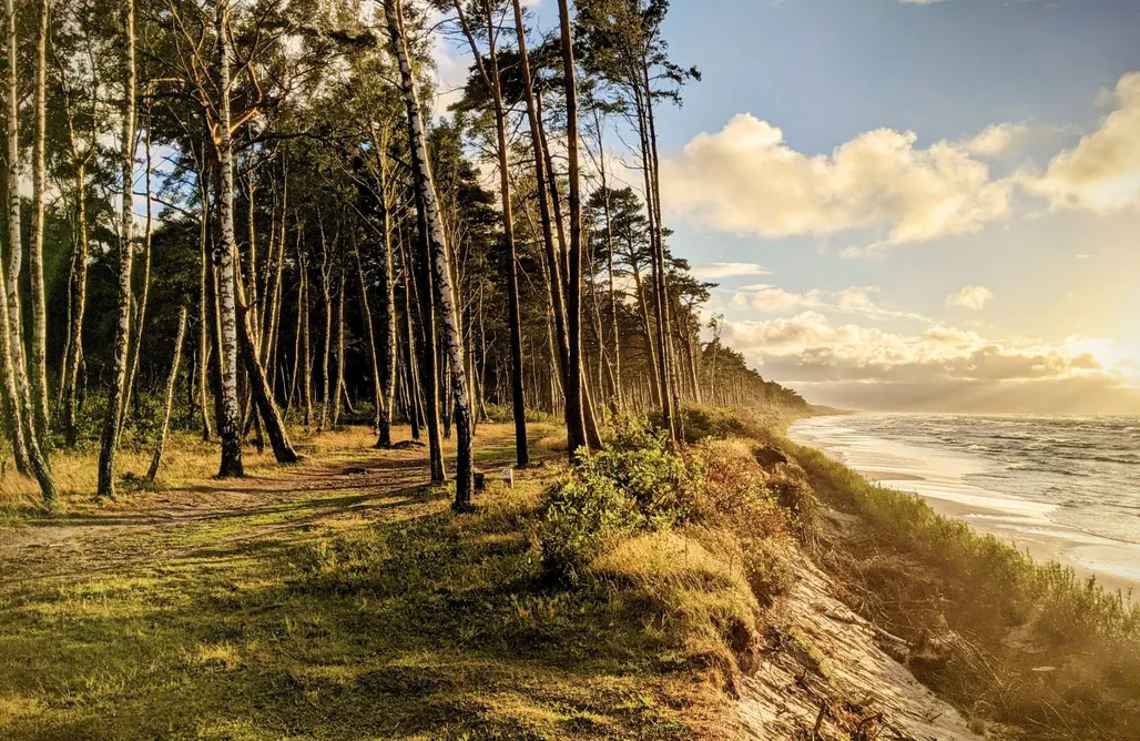 Domek na Wieczór Kawalerski My Slow Life 1