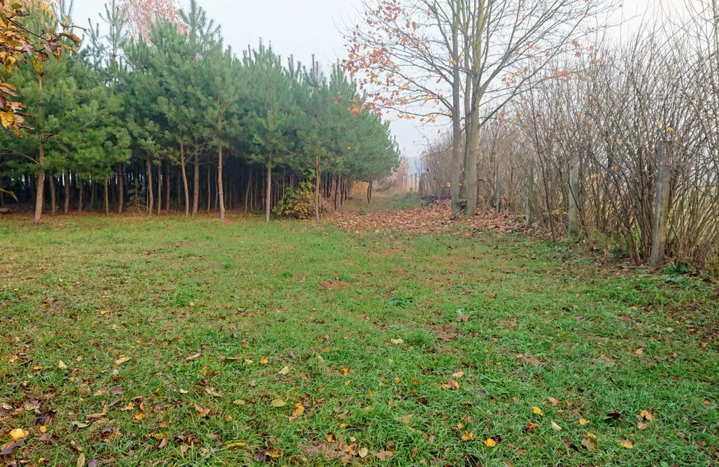 Pole Namiotowe Kaszuby Pole namiotowe/biwakowe - Przy domku z gliny 1