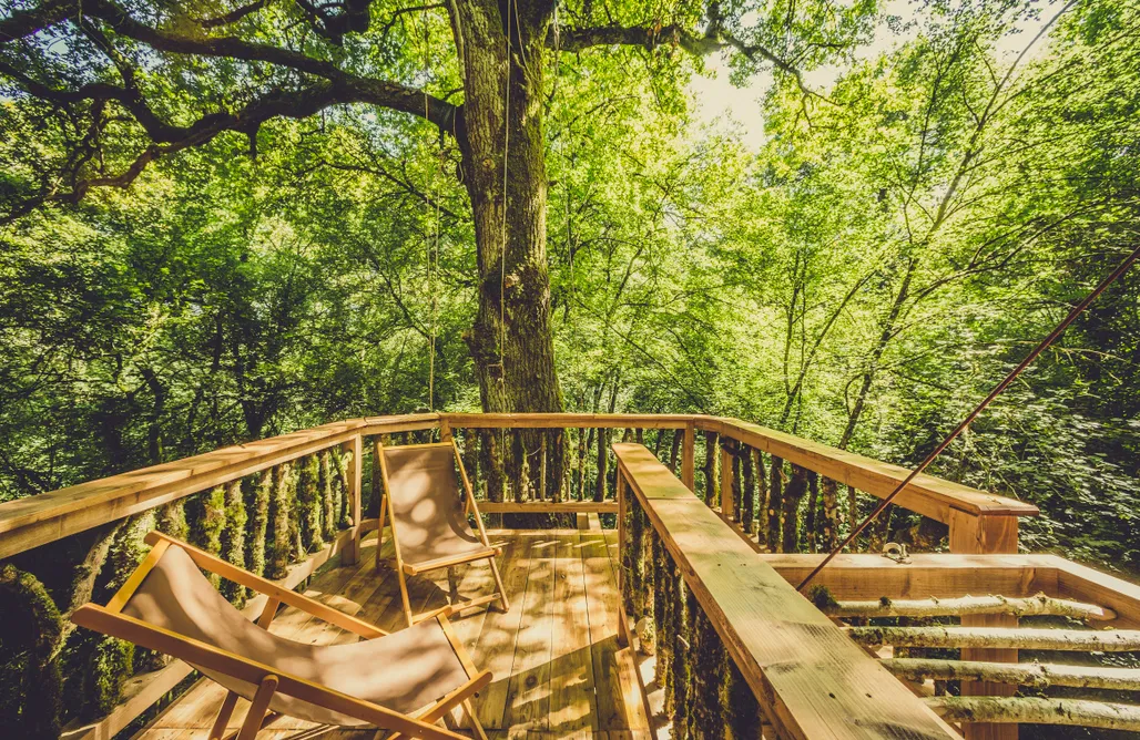 AlohaCamp Suite Mirua 3