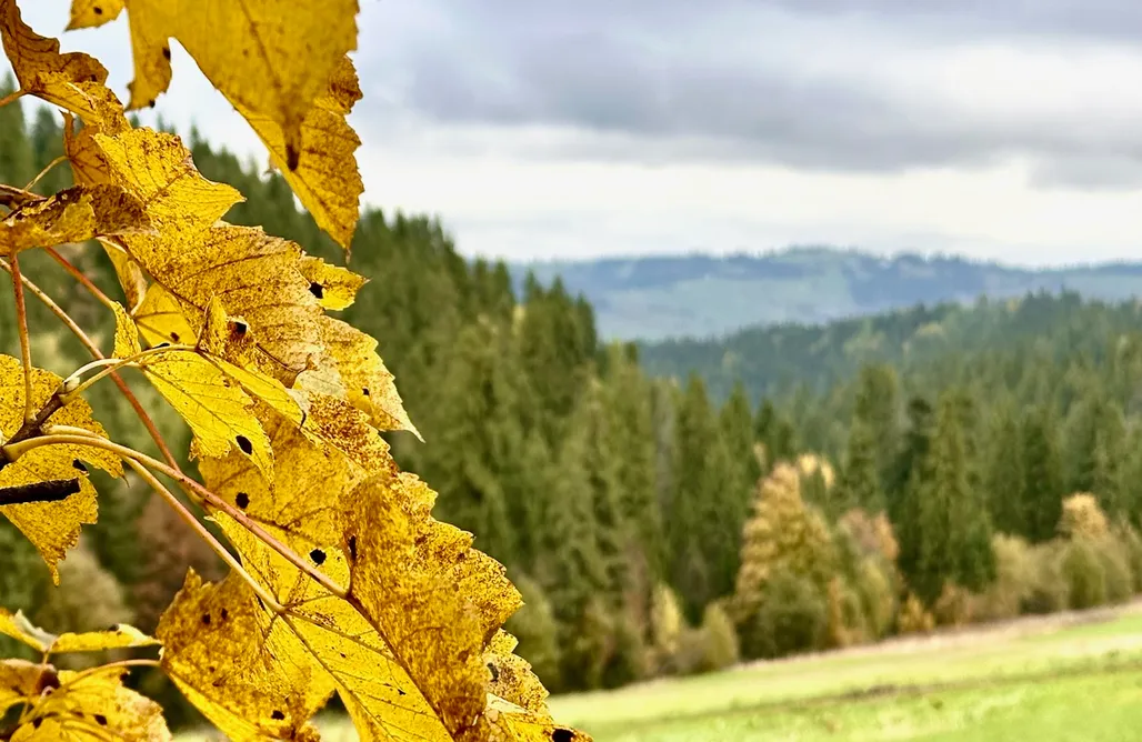 AlohaCamp accommodation Domek Tatry Stacja Wierchowa 972 m 1
