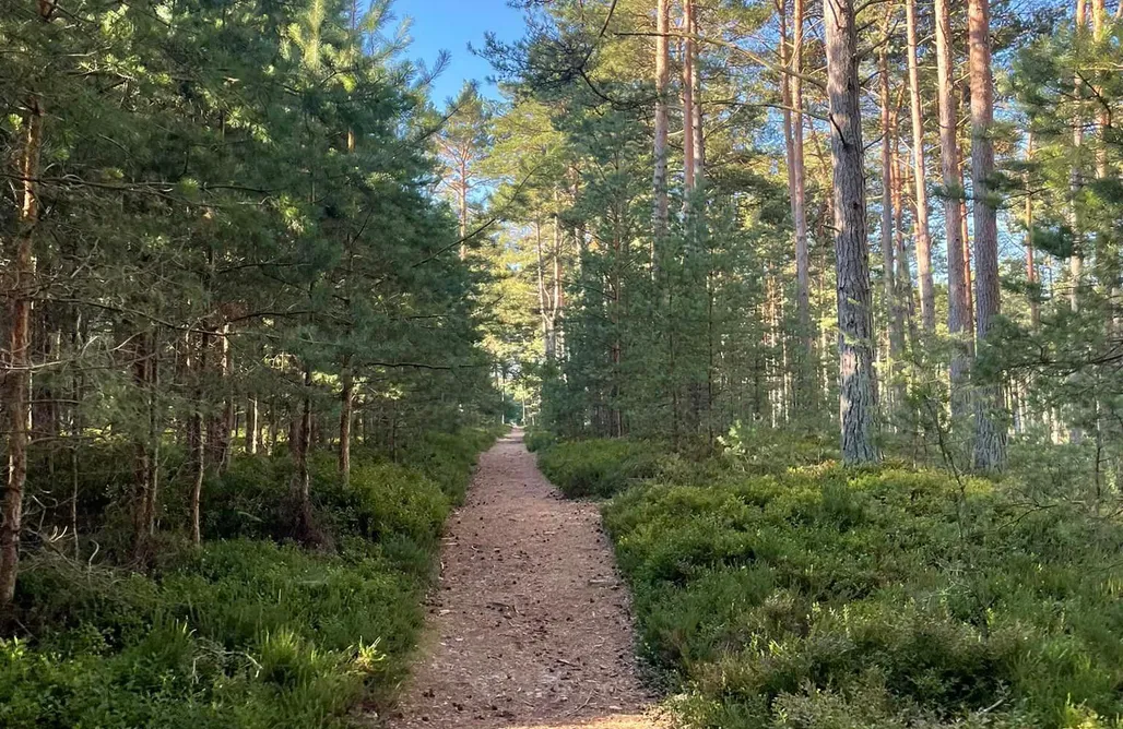 Unterkunft AlohaCamp Seaside Harmony 1