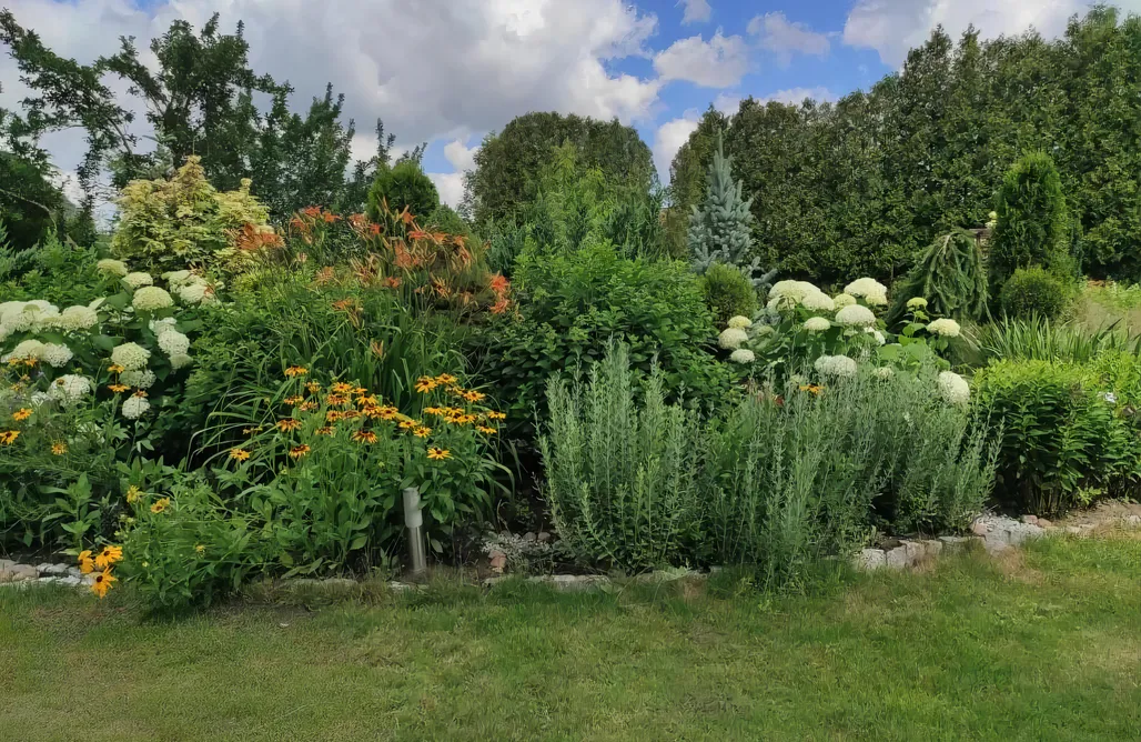 AlohaCamp Zaczarowany Bieślin 1