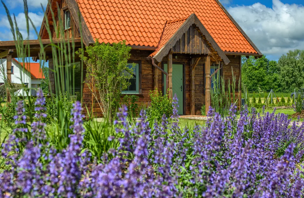 AlohaCamp Zielone Ławki dom Las 2