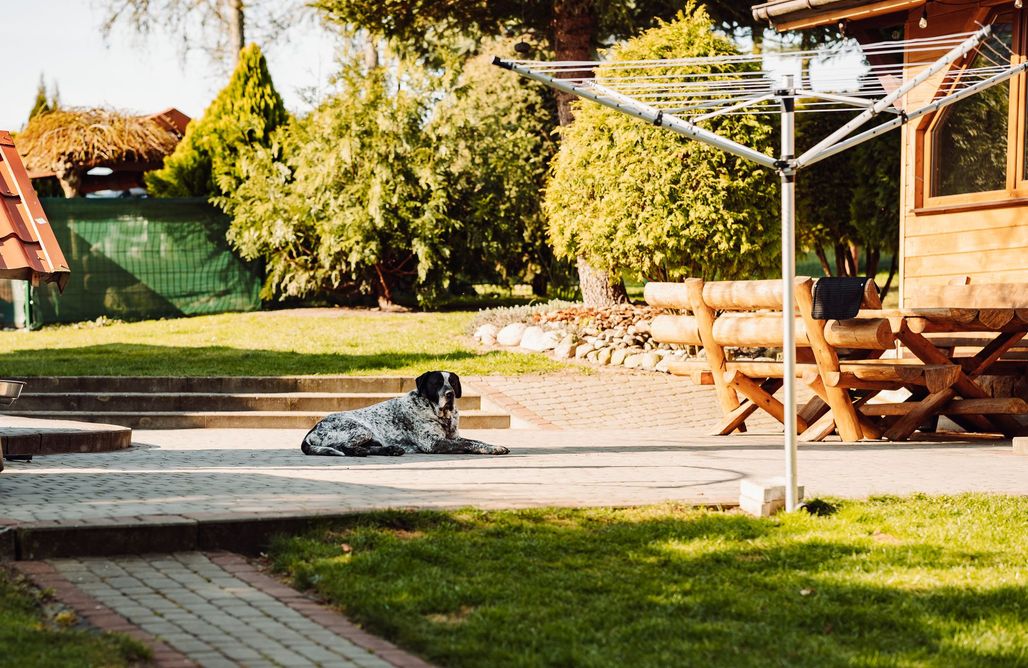 AlohaCamp Wilkiejmy Wieś 1