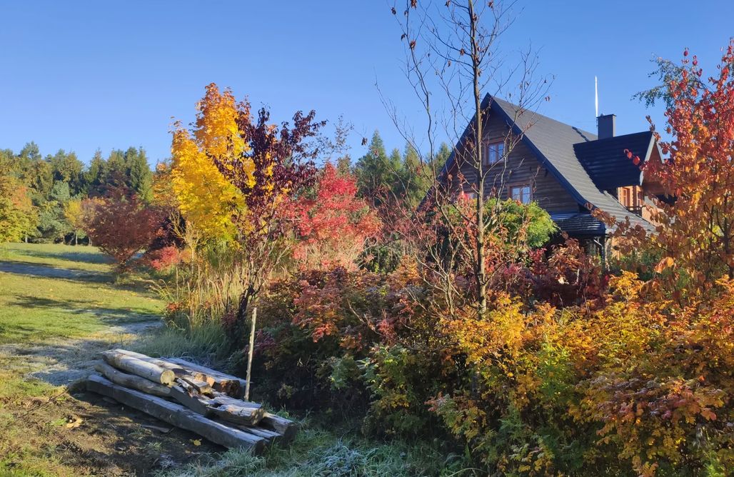 AlohaCamp Pokój Różany 1