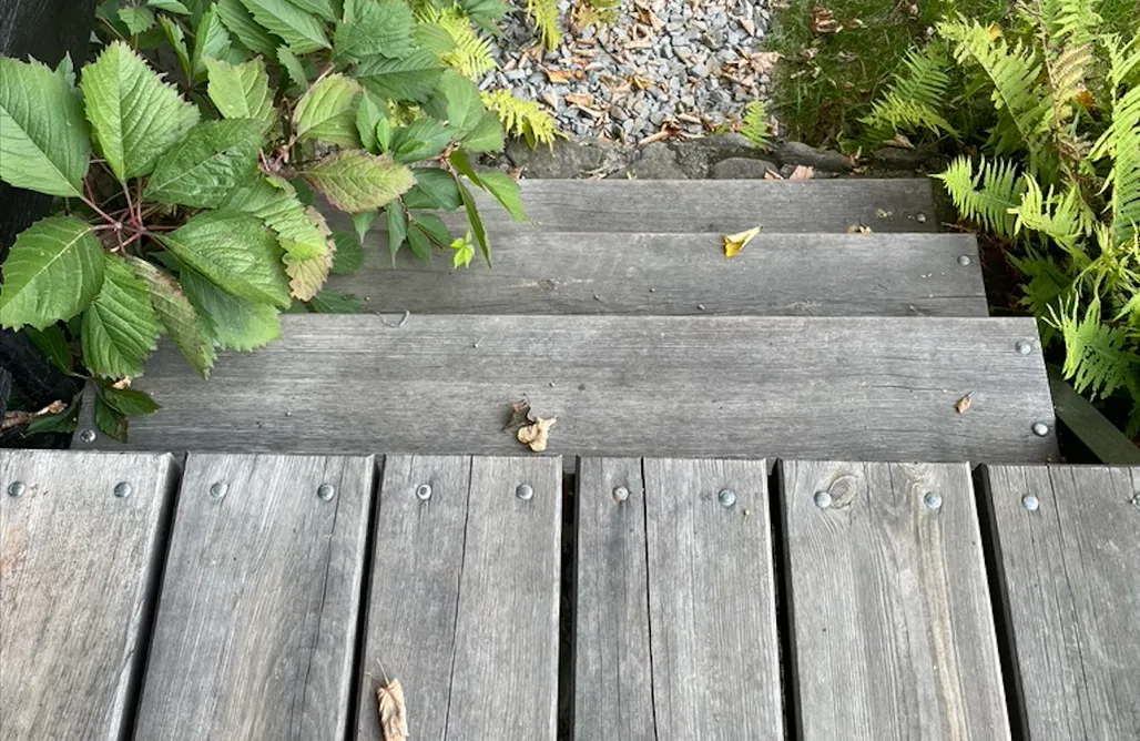 AlohaCamp Chatka w leszczynach 1