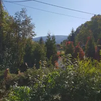 ewa gospodarz Vinico