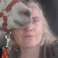 Anna gospodarz Gospodarstwo agroturystyczne Alpaki Pituchówka 